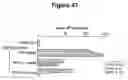 Fig. 42 - CONTROL OF INTESTINAL INFLAMMATORY SYNDROMES WITH A PREPARATION OF KILLED OR NON INFECTIOUS BACTERIA