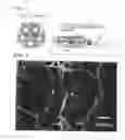Fig. 02 - Cosmetic and method for production thereof