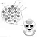 Fig. 01 - Targeted and individualized cosmetic delivery