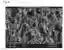 Fig. 06 - Biodegradable scaffold with ECM material