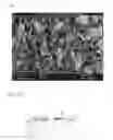 Fig. 07 - Biodegradable scaffold with ECM material