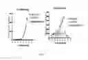Fig. 02 - PHENYLEPHRINE PHARMACEUTICAL FORMULATIONS AND COMPOSITIONS FOR TRANSMUCOSAL ABSORPTION