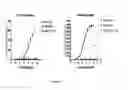 Fig. 06 - PHENYLEPHRINE PHARMACEUTICAL FORMULATIONS AND COMPOSITIONS FOR TRANSMUCOSAL ABSORPTION