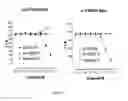 Fig. 07 - PHENYLEPHRINE PHARMACEUTICAL FORMULATIONS AND COMPOSITIONS FOR TRANSMUCOSAL ABSORPTION