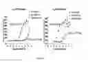 Fig. 10 - PHENYLEPHRINE PHARMACEUTICAL FORMULATIONS AND COMPOSITIONS FOR TRANSMUCOSAL ABSORPTION