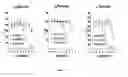 Fig. 13 - PHENYLEPHRINE PHARMACEUTICAL FORMULATIONS AND COMPOSITIONS FOR TRANSMUCOSAL ABSORPTION