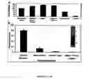 Fig. 07 - FERRITIN AS A THERAPEUTIC TARGET IN ABNORMAL CELLS