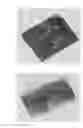 Fig. 01 - Collagen-based matrices with stem cells