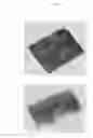 Fig. 14 - Collagen-based matrices with stem cells