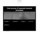 Fig. 20 - Collagen-based matrices with stem cells