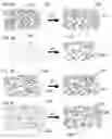 Fig. 04 - Devices for the treatment of wounds and methods and kits therefor