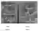 Fig. 02 - Particulate wood preservative and method for producing the same