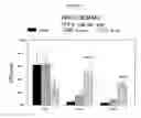 Fig. 06 - Combined effects of nutrients on proliferation of stem cells