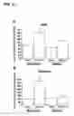 Fig. 13 - Combined effects of nutrients on proliferation of stem cells