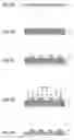 Fig. 02 - PATTERNED MEDIUM AND METHOD OF PRODUCING PATTERNED MEDIUM