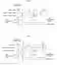 Fig. 06 - IMAGE FORMATION APPARATUS THAT SOLVES UNEVEN GLOSS IN A PAGE, AND IMAGE FORMATION METHOD AND RECORDING MEDIUM FOR THE METHOD