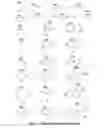 Fig. 02 - Antireflective coating composition