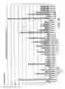 Fig. 48 - Novel nucleic acid sequences encoding adenylate kinases, alcohol dehydrogenases, ubiquitin proteases, lipases, adenylate cyclases, and GTPase activators