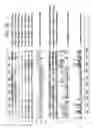 Fig. 80 - Novel nucleic acid sequences encoding adenylate kinases, alcohol dehydrogenases, ubiquitin proteases, lipases, adenylate cyclases, and GTPase activators