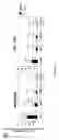 Fig. 06 - Methods for the determination of telomere length in a semi-automatic manner of every single cell in a immobilized cell population