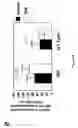Fig. 07 - Methods for the determination of telomere length in a semi-automatic manner of every single cell in a immobilized cell population