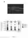 Fig. 08 - Methods for the determination of telomere length in a semi-automatic manner of every single cell in a immobilized cell population
