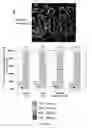 Fig. 43 - Methods for the determination of telomere length in a semi-automatic manner of every single cell in a immobilized cell population