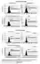 Fig. 44 - Methods for the determination of telomere length in a semi-automatic manner of every single cell in a immobilized cell population