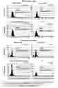 Fig. 45 - Methods for the determination of telomere length in a semi-automatic manner of every single cell in a immobilized cell population