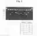 Fig. 02 - Oligonucleotides for Detecting Nucleic Acids of Pathogen Causing Sexually Transmitted Diseases