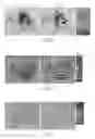 Fig. 06 - Nested primer sets for amplifying mouse immunoglobulin variable gene segments