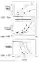 Fig. 13 - Modified vitamin K-dependent polypeptides