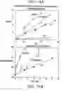 Fig. 15 - Modified vitamin K-dependent polypeptides