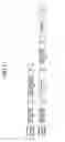 Fig. 10 - Method of producing semiconductor device