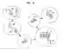 Fig. 11 - Tool Operated Combination Lock