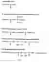 Fig. 02 - Microarray system