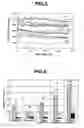 Fig. 04 - Thermoplastic resin composition, resinous material including same composition, and sliding members using same material