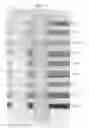 Fig. 07 - Cleaning compositions incorporating green solvents and methods for use