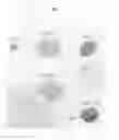 Fig. 08 - Cleaning compositions incorporating green solvents and methods for use
