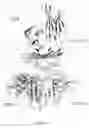 Fig. 05 - Soluble heterodimeric CD94/NKG2 receptors fusion proteins