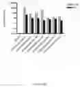 Fig. 26 - Soluble heterodimeric CD94/NKG2 receptors fusion proteins