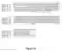 Fig. 27 - Soluble heterodimeric CD94/NKG2 receptors fusion proteins