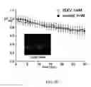 Fig. 09 - Method of reducing injury to mammalian cells