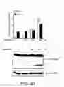 Fig. 09 - Methods For Treating Endoplasmic Reticulum (ER) Stress Disorders
