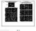 Fig. 09 - Elastin digest compositions and methods utilizing same
