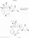 Fig. 40 - Anti-bacterial activity of 9-hydroxy derivatives of 6,11-bicyclolides