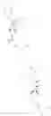 Fig. 110 - Organic compounds