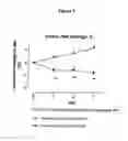 Fig. 04 - Compounds useful for the treatment of conditions associated with weight gain