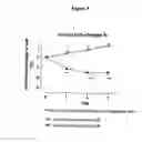 Fig. 06 - Compounds useful for the treatment of conditions associated with weight gain
