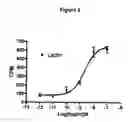 Fig. 07 - Compounds useful for the treatment of conditions associated with weight gain